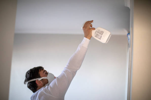 Best Mold Removal and Inspection  in Plantation, FL